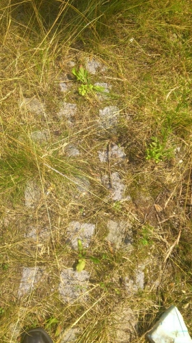 Pflastersteine aus Granit